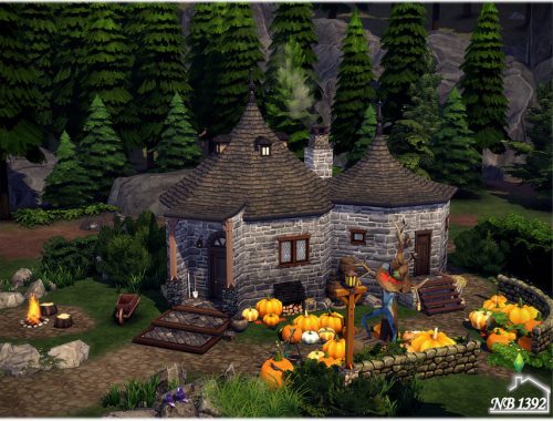 Hagrid's Hut