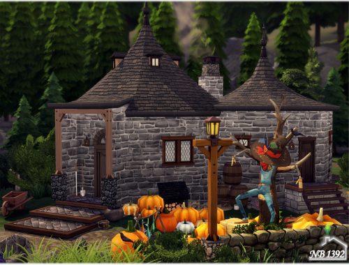 Hagrid's Hut