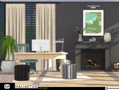 Haliaetus Office
