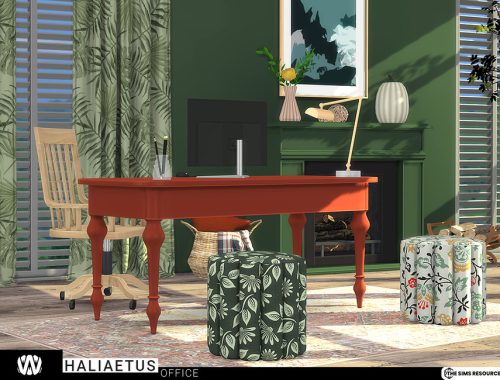 Haliaetus Office