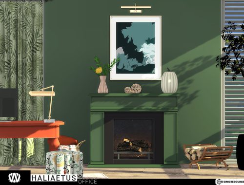 Haliaetus Office