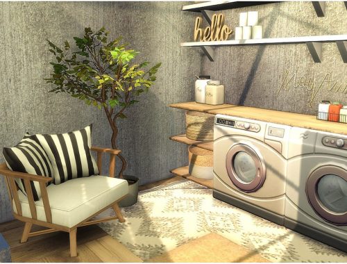 Hallway With Laundry