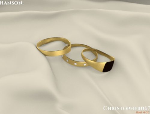 Hanson Rings / Christopher067