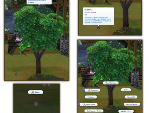 HARVESTABLE NUTMEG at Icemunmun