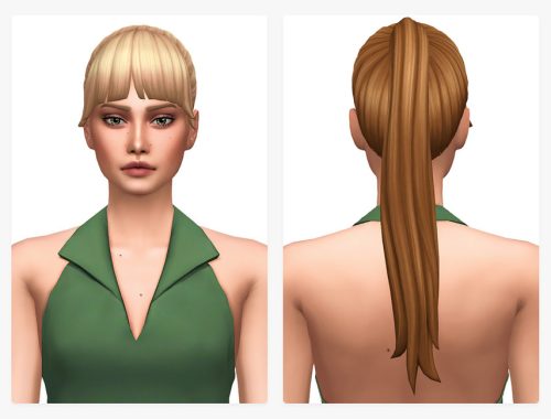 Hazel Ponytail Hairstyle