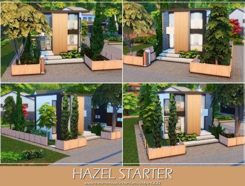 Hazel Starter