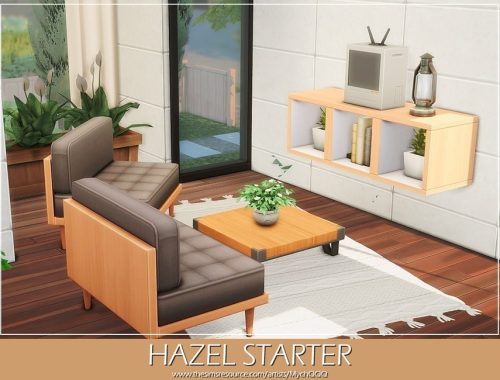 Hazel Starter