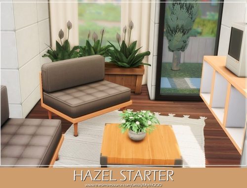 Hazel Starter