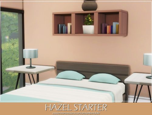 Hazel Starter