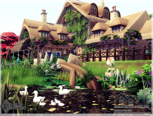 Hiacynta- Residential - NO CC