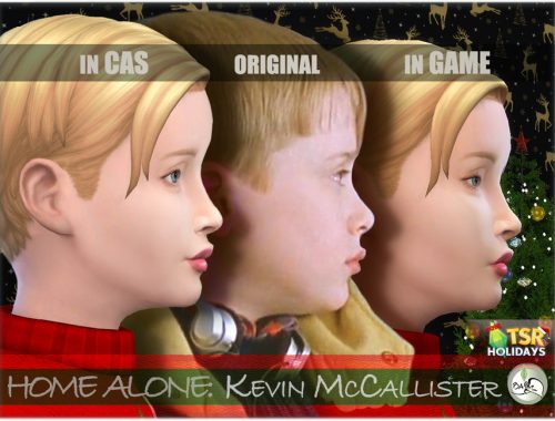 Holiday Wonderland – Kevin Home Alone
