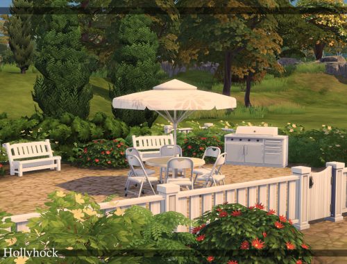 Hollyhock | noCC
