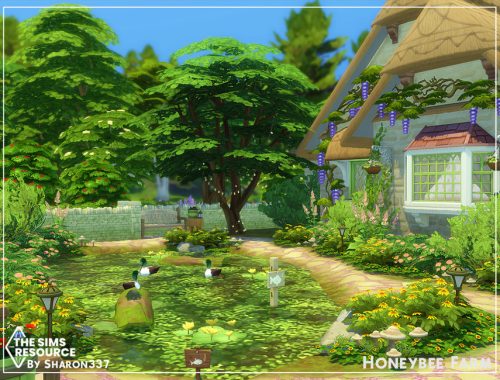 Honeybee Farm