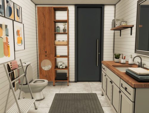 Hudson Bathroom (TSR only CC)
