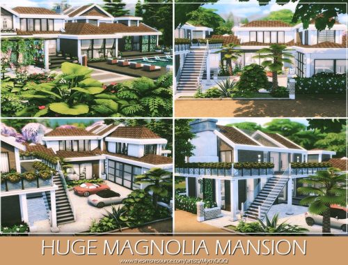 Huge Magnolia Mansion