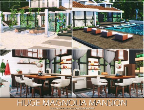 Huge Magnolia Mansion