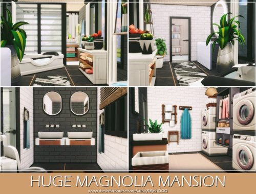 Huge Magnolia Mansion
