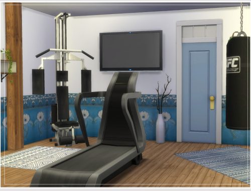 Hugo's Gym
