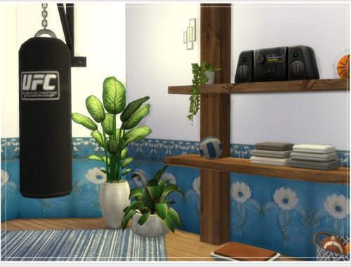 Hugo's Gym