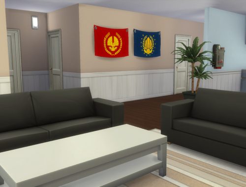 Hunger Games flags