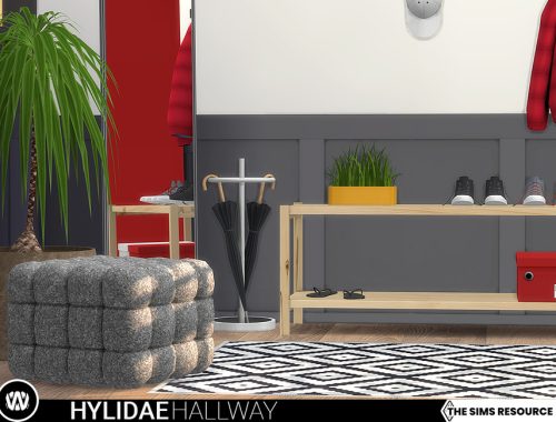 Hylidae Hallway