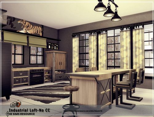 Industrial Loft-No CC