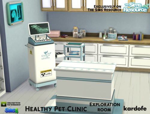 kardofe_Healthy Pet Clinic_Exploration room