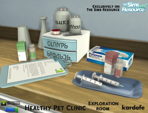 kardofe_Healthy Pet Clinic_Exploration room