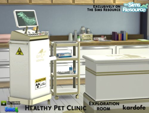 kardofe_Healthy Pet Clinic_Exploration room
