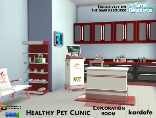 kardofe_Healthy Pet Clinic_Exploration room