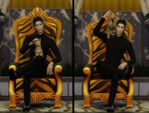 King (Pose Pack)