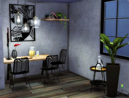 Kitchen Aron