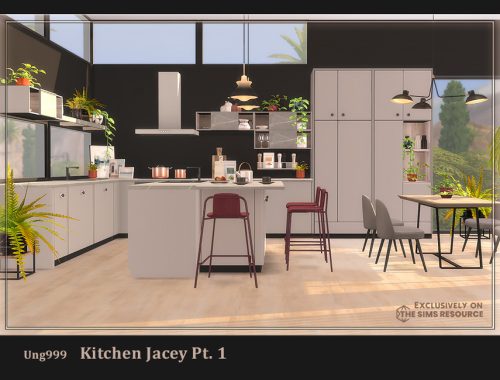 Kitchen Jacey Pt.1
