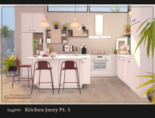 Kitchen Jacey Pt.1