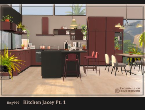 Kitchen Jacey Pt.1