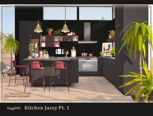 Kitchen Jacey Pt.1