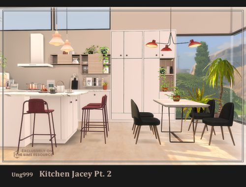 Kitchen Jacey Pt.2
