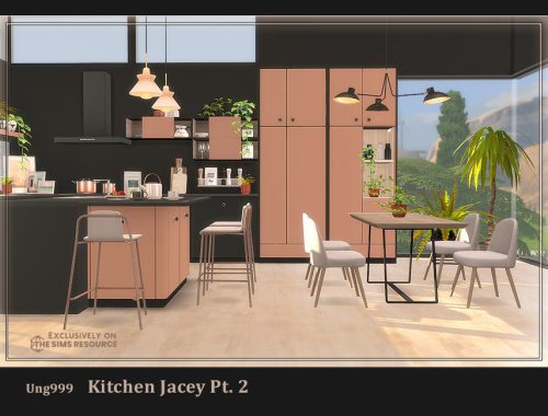 Kitchen Jacey Pt.2