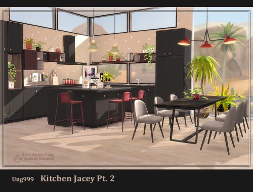 Kitchen Jacey Pt.2