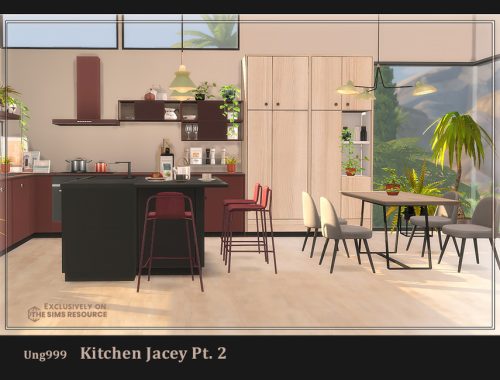 Kitchen Jacey Pt.2