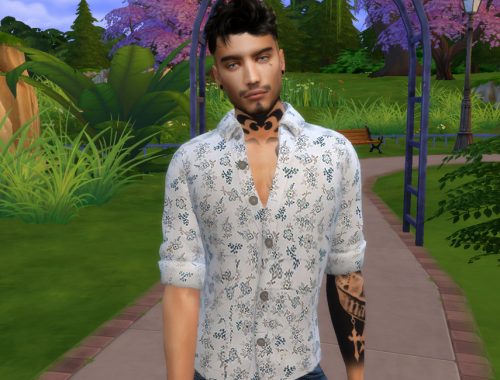 Lance Chester