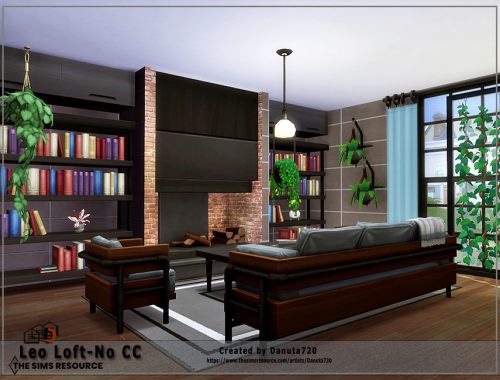 Leo Loft-No CC