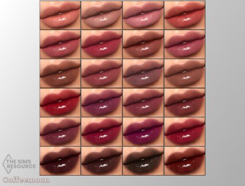 Lip gloss N13