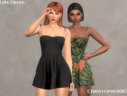 Lipa Dress / Christopher067