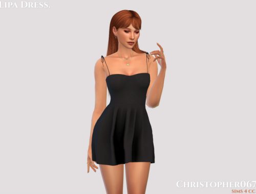 Lipa Dress / Christopher067