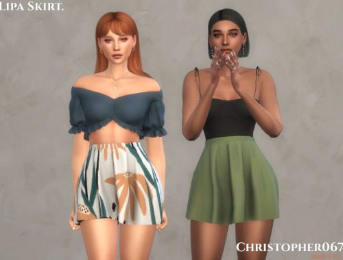 Lipa Skirt / Christopher067