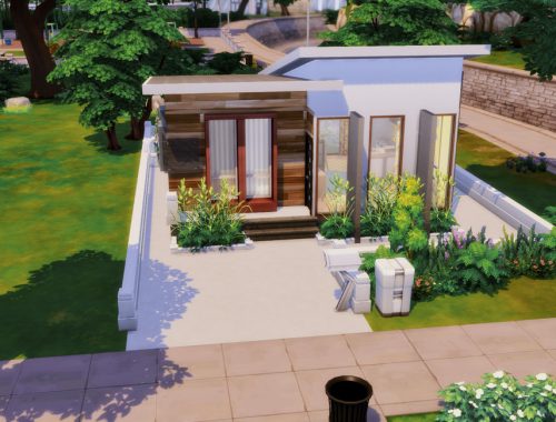 Little Flower- No CC