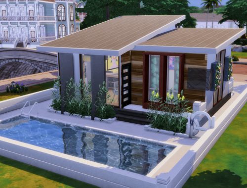 Little Flower- No CC