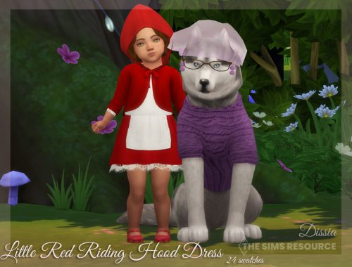 Little Red Riding Hood Dress