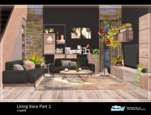 Living Kara Part 1